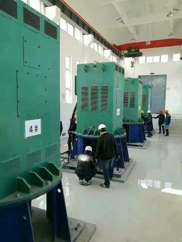 东升镇某污水处理厂使用我厂的立式高压电机安装现场